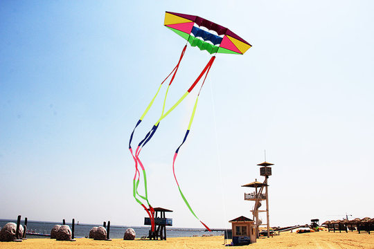 New Weifang radar three-dimensional long tail kite