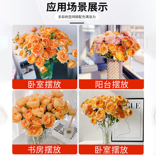 果汁阳台月季盆栽花苗大花四季开花玫瑰带花苞阳台植物红果汁花卉 - 图3