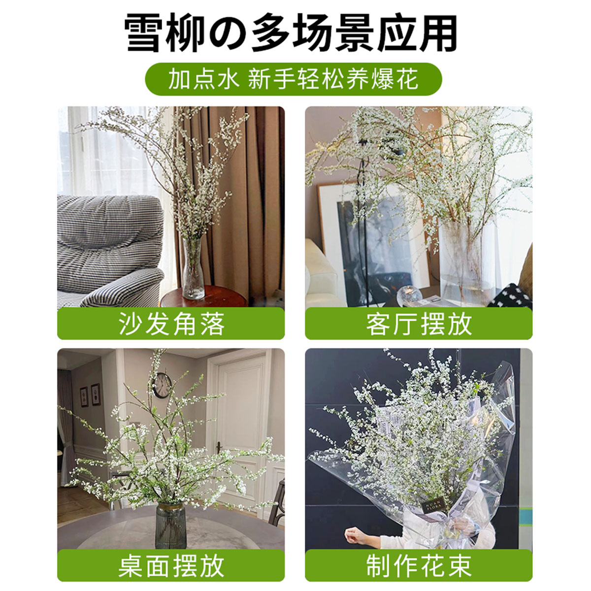 雪柳鲜枝干枝客厅阳台室内水养绿植重瓣龙柳好养活绿植遇水开花卉-图1