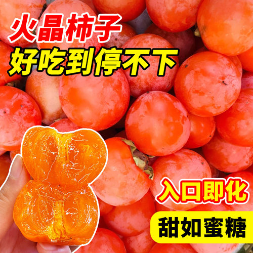 柿子苗树苗火晶柿子正宗对版嫁接果树南北方种植地栽脆甜当年结果 - 图2