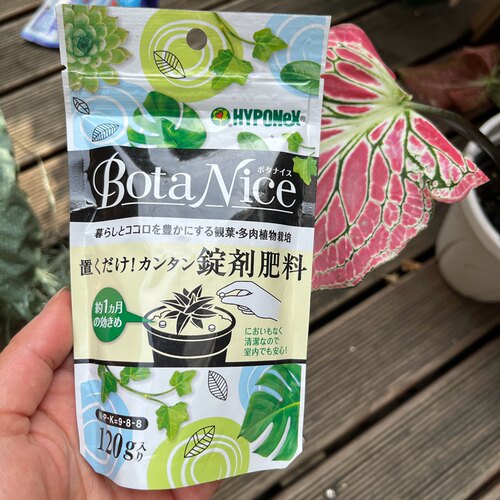 蜜家观叶海芋白锦龟背竹绿天鹅绒锦多肉带锦十二缓释肥日本花宝 - 图1