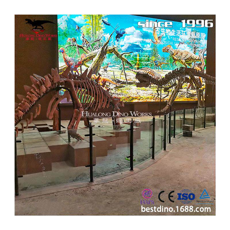 自贡大型仿真化石恐龙厂家恐龙化石骨架模型制作博物馆展览 - 图3