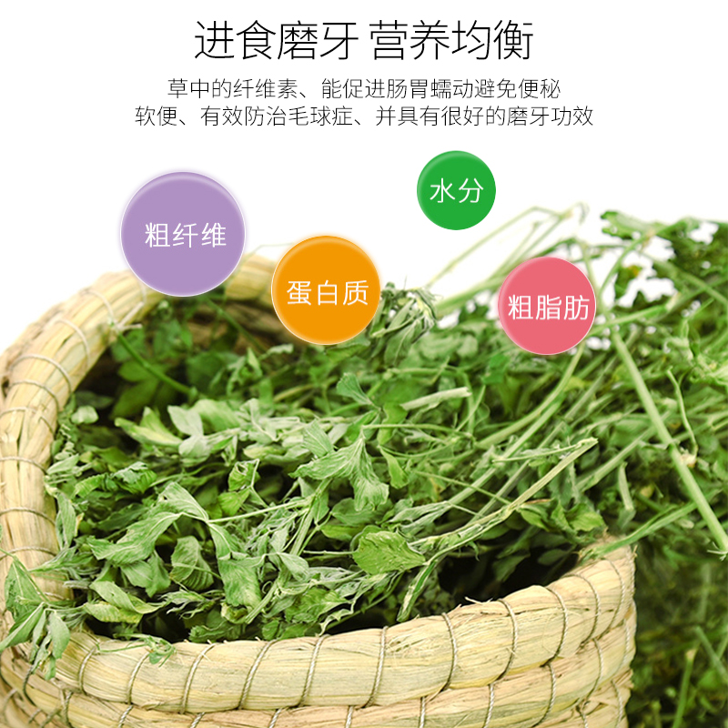 2024年新鲜紫花苜蓿草牧干草毛重1kg/箱兔子龙猫荷兰猪苜蓿草-图2