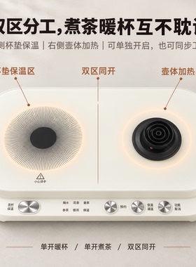 TEIMUS全自动煮茶器多功能养生壶套装花果茶壶办公室保温一体壶