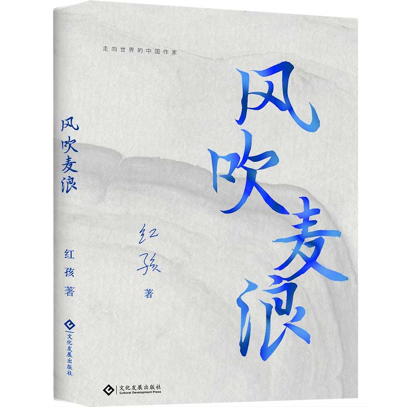 《风吹麦浪》红孩经典青春小说畅销书鲁迅文学奖冰心散文奖徐霞客游记散文奖中国新闻奖改编电影 - 图0