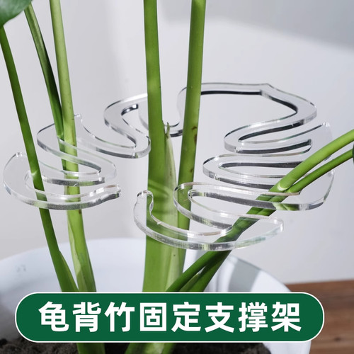 植物枝干支撑杆防倒伏支架固定器收拢架龟背竹水培神器绿植花支架 - 图1