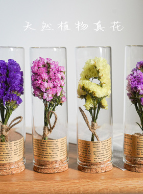 勿忘我玫瑰蔷薇试管干花玻璃植物