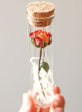 送你一朵小红花玻璃试管干花束永生许愿瓶标本婚礼毕业节生日礼物