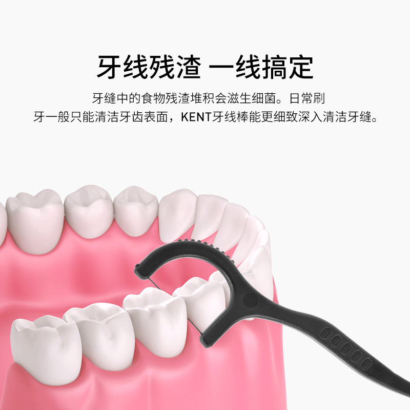 kent牙线棒家庭装纳米细清洁剔牙线 everthames牙线/牙线棒