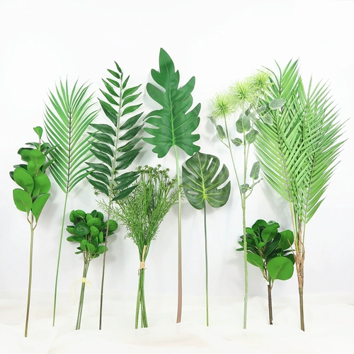 Сюмирование нордического стиля зеленый растение черепаха спинка доля декоративная трава Длинные зимние зеленые листья ugli листовые цветы с растениями травы