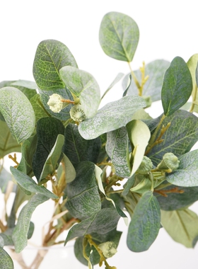 仿真50cm新款尤加利把束家居装饰假花北欧风格室内摆件绿植叶片