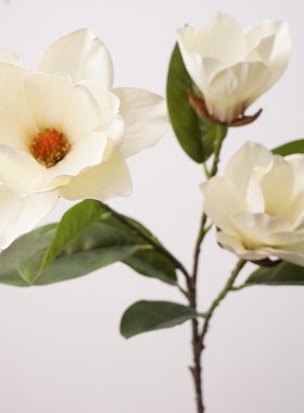 仿真花3头玉兰简约风陈列轻盈家居装饰花艺师插花摄影道具摆件