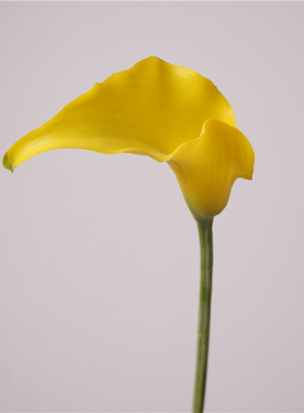 仿真花荷兰马蹄莲假花居家摆设花艺花插花餐桌花艺装饰品花材花艺