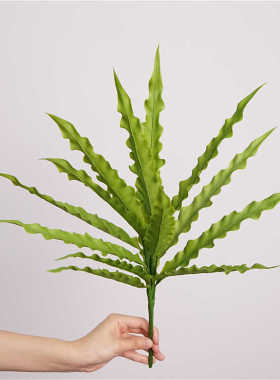 雪莉客厅摆件园艺插花真多肉植物
