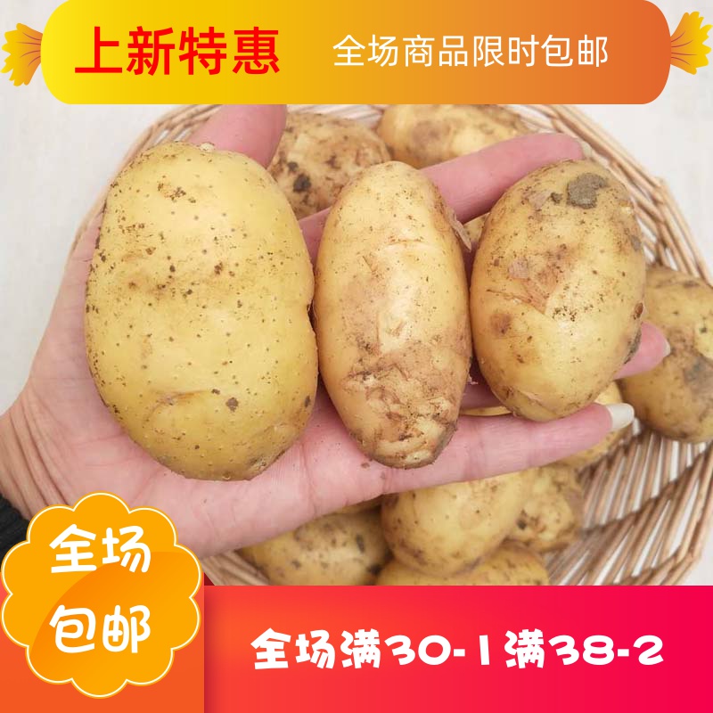 庶州农社旗舰店5斤包邮山东特产农家自种新鲜现挖黄心迷你小土豆蔬菜粉糯0