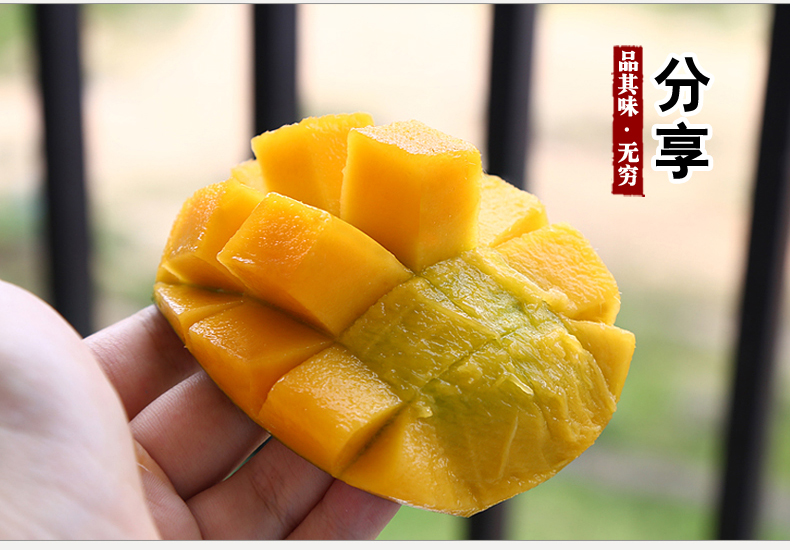 庶州农社旗舰店现摘现发广西百色田东桂七正宗小桂7公果新鲜青芒果水果10包邮1