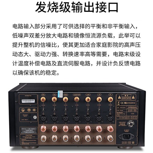 Winner/天逸 AD-7300PA+纯后级11声道功放AD-7300HD前级家庭影院 - 图0