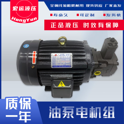 液压油泵电机组VP20+0.75KW1.5液压泵总成内轴电机液压站配件系统-图0