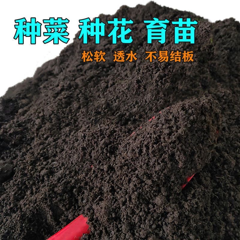 天然腐殖土养花种菜专用泥炭土阳台盆栽种植通用有机黑土花土山土 - 图0