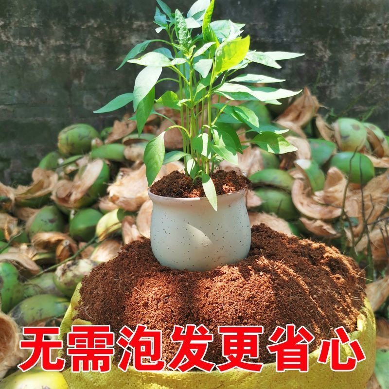 海南纯椰糠营养土脱盐免泡发椰砖无土栽培基质花土菜土庭院种植土,淘宝优惠券,粉丝福利购,淘宝优惠卷