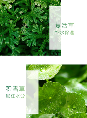 【正品.新日期】心维雅水漾盈润面膜升级版（好用）