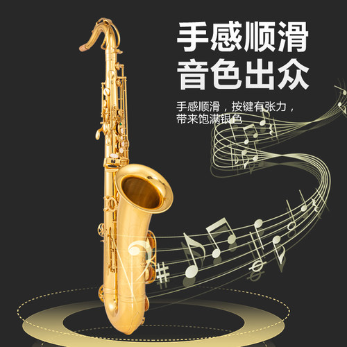 日本原装柳泽A-W010降e调中音萨克斯风管乐器YANAGISAWA 初学考级 - 图0