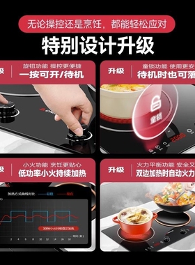 Chigo/志高2536旋钮双头凹面电