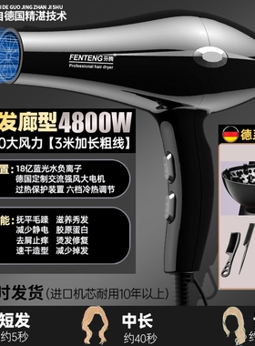 电吹风机理发店专用大功率家用大