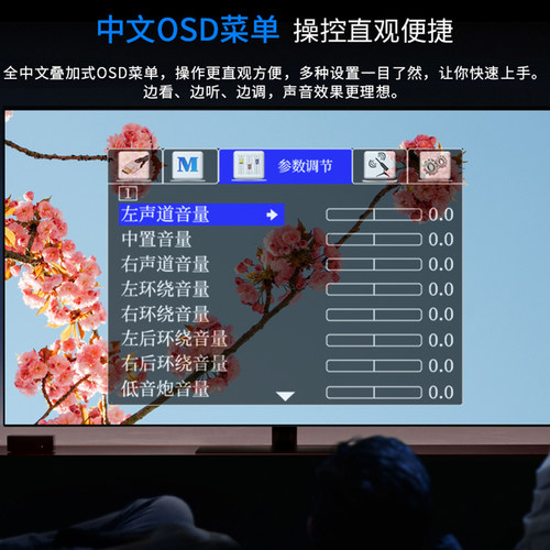 Winner/天逸AT-2900家用全景声大功率9.1声道家庭影院AV影K功放机 - 图2