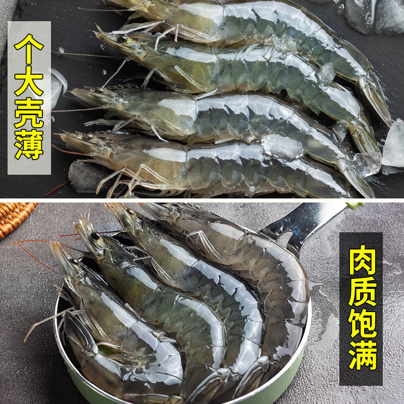 整箱海捕大虾4斤 鲜活冷冻新鲜超大虾鲜虾海鲜水产青虾基围虾对虾 - 图0