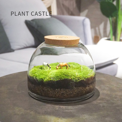 苔藓缸闷养盆器微景观玻璃容器微观生态瓶玻璃瓶花盆带灯微景瓶 - 图0