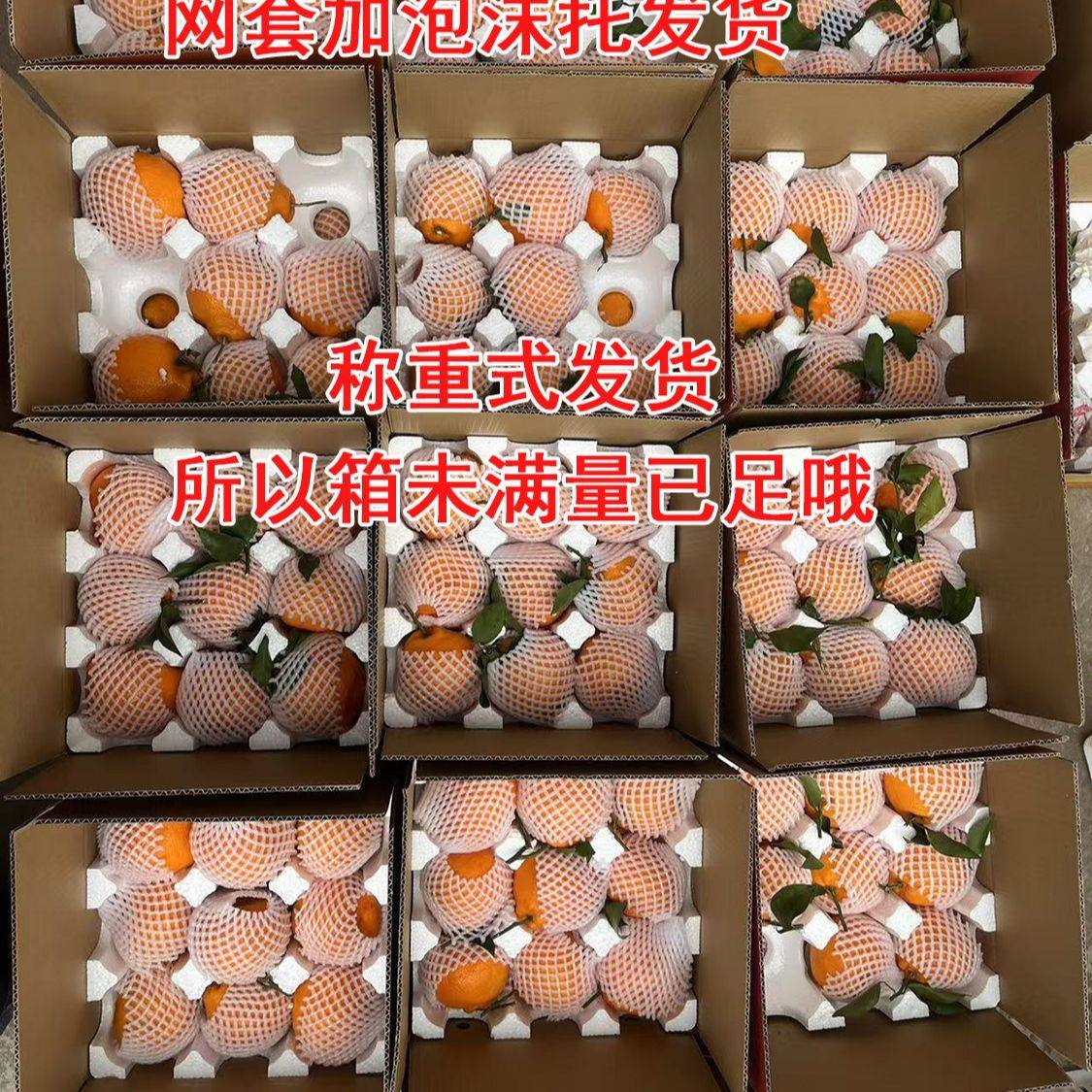 四川眉山椪柑芦柑新鲜孕妇水果应季橘子整箱,淘宝优惠券,粉丝福利购,淘宝优惠卷