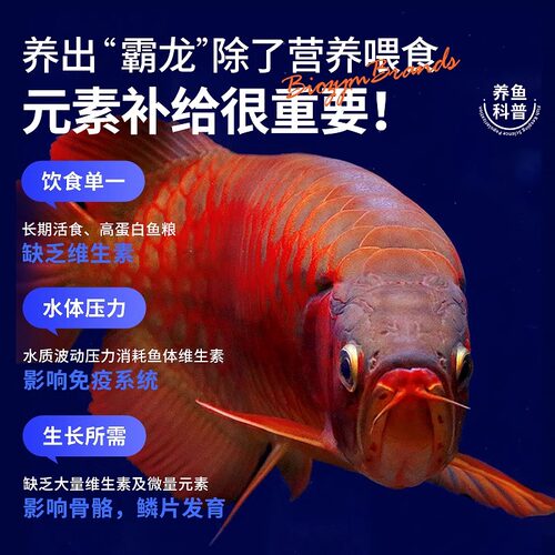百因美AG龙鱼活力素维他命营养液厌食趴缸生物龙鱼活力配方助发色 - 图1