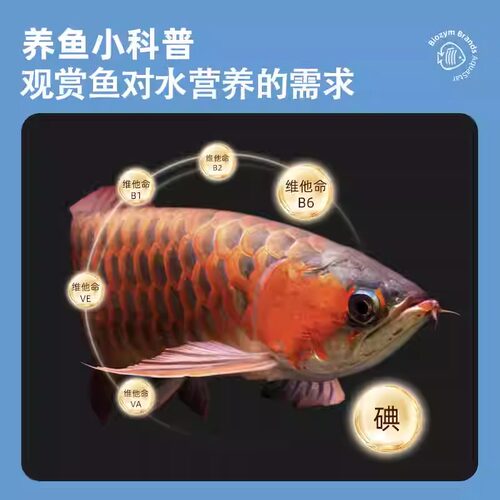 百因美AG龙鱼活力素维他命营养液厌食趴缸生物龙鱼活力配方助发色 - 图0