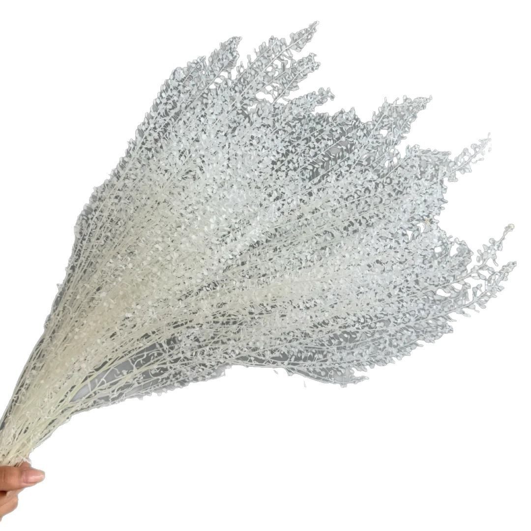 ins风家居软装婚礼布景干花永生花花束真花满天星装饰婚礼装饰,淘宝优惠券,粉丝福利购,淘宝优惠卷