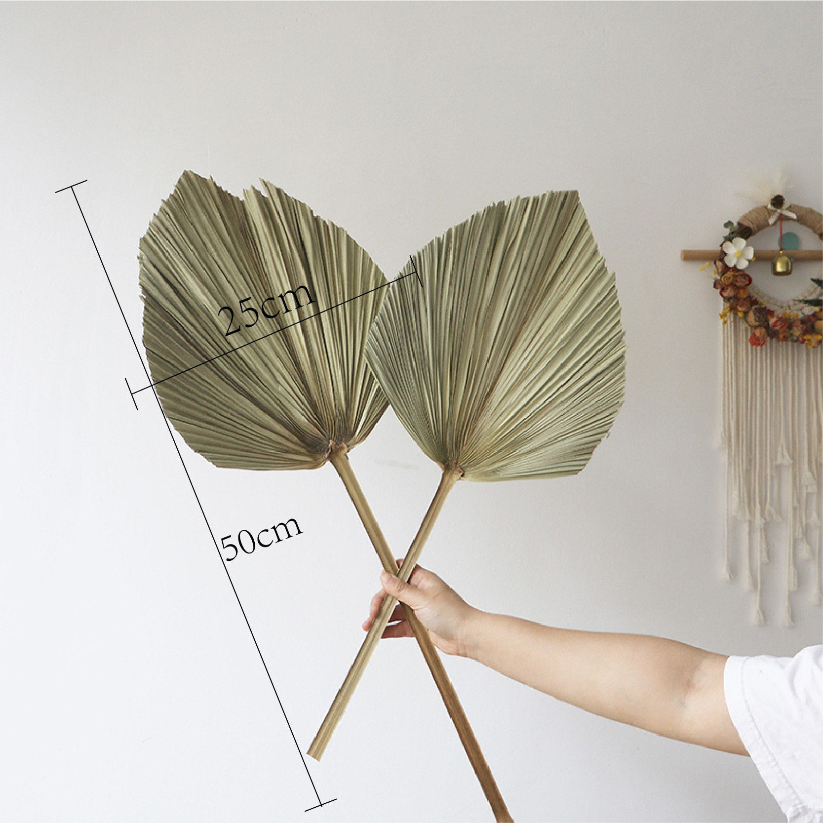 ins田园风芦苇干花花束真花客厅摆设蒲苇大穗天然室内摆件跨境,淘宝优惠券,粉丝福利购,淘宝优惠卷