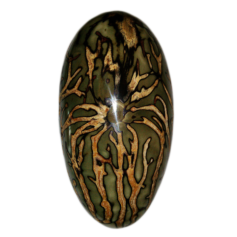 千眼菩提子手把件绿白大果胖果磨好成品 文玩把玩件手磨精品饰品 - 图2