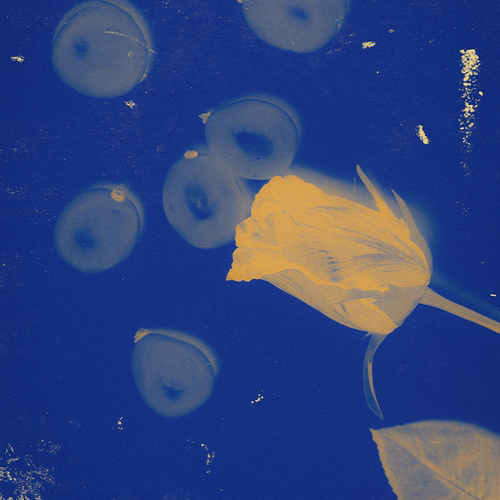 【新年礼物】RE调香室粉婆婆猫掌柜百怪系列留香淡香香水女士 - 图2