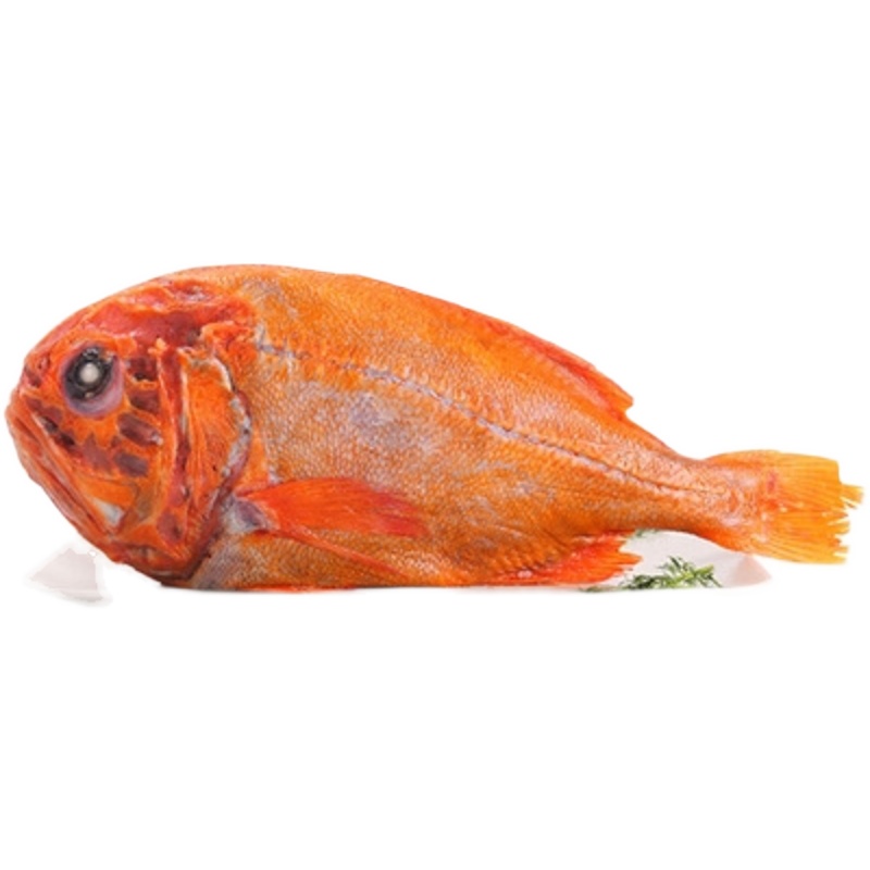 长寿鱼新鲜海捕冷冻鲜活海鲜水产深海鱼2.6-2.8斤/一条富贵鱼红鱼 - 图3