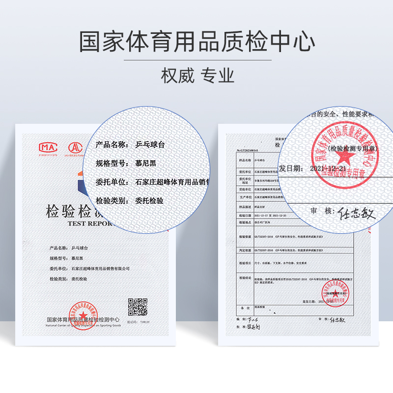 TIBHAR德国挺拔乒乓球台室内可折叠乒乓球桌标准型兵兵案子慕尼黑