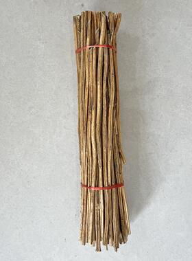干芝麻杆芝麻开花节节