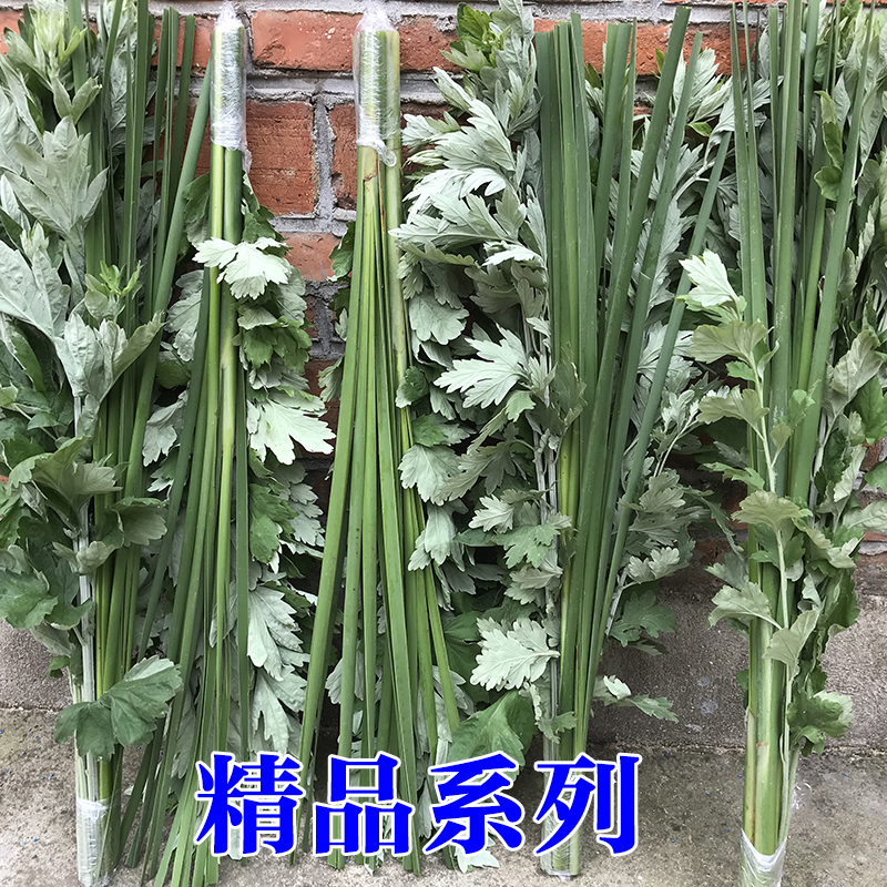 新鲜香菖蒲草端午艾蒿艾草艾叶挂门窗户驱蚊端午节菖蒲农村风俗艾 - 图1