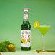 MONIN kiwi flavored syrup glass bottle