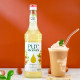MONIN hazelnut flavored drink concentrate