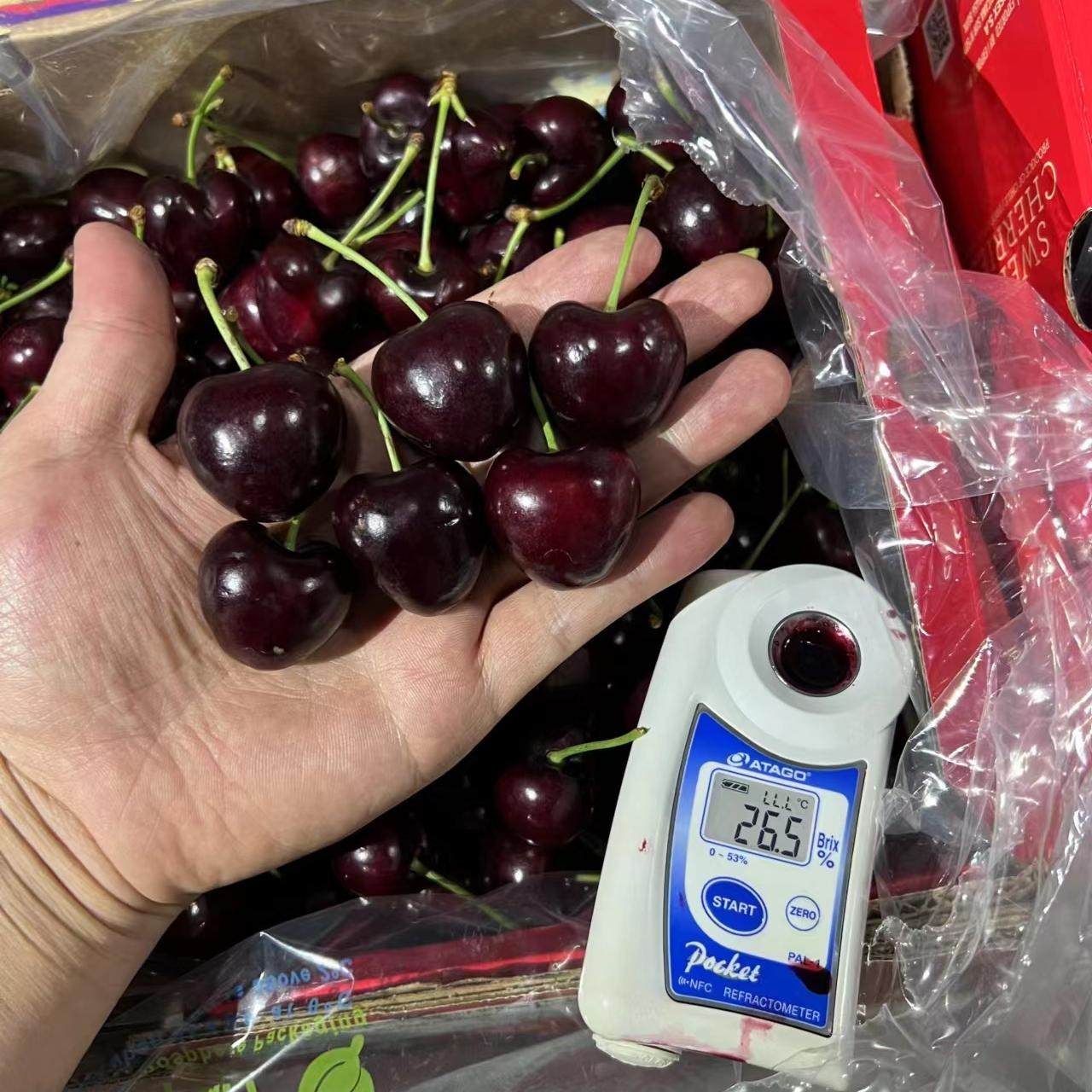 智利车厘子礼盒装5斤4j空运桑提娜3j现货大樱桃新鲜包邮孕妇水果,淘宝优惠券,粉丝福利购,淘宝优惠卷