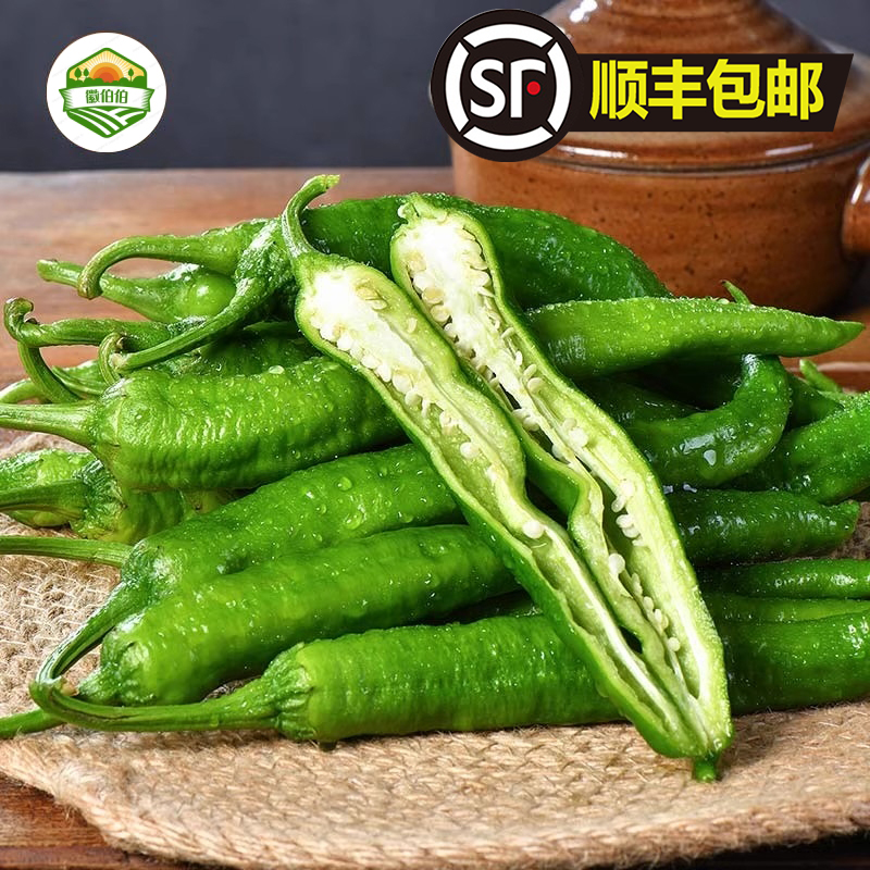 正宗湘妍55号辣椒软薄皮微中辣虎皮新鲜青辣椒蔬菜湘菜馆牛角尖椒 - 图2