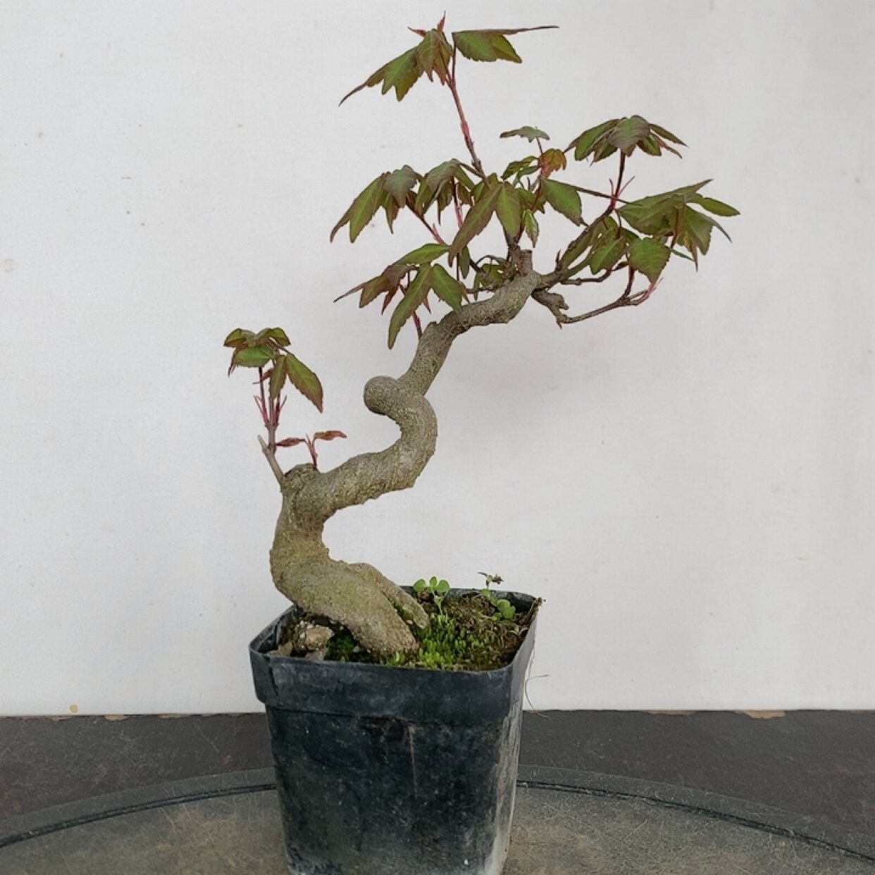 图4