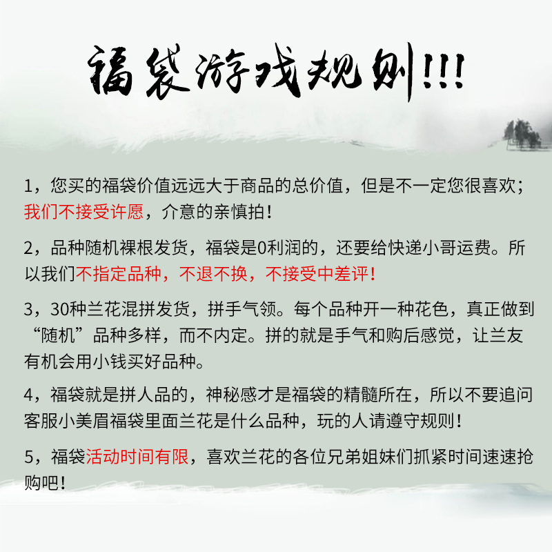 刘阁兰花苗18.88福袋品种随机室内外阳台花卉兰花盆栽拍2件打8折-图0