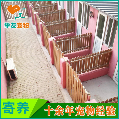 挚友宠物◆北京专业狗狗寄养托管 不关笼子散养 空调暖气单间接送 - 图1