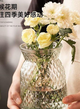简约大口径透明玻璃花瓶